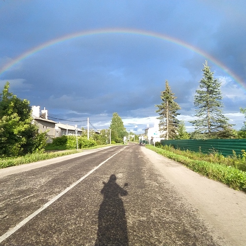 Photo #14058783