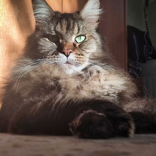 Photo #14058828