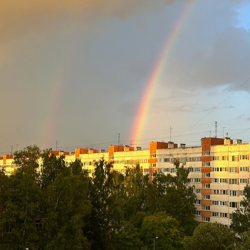 Photo #14058884