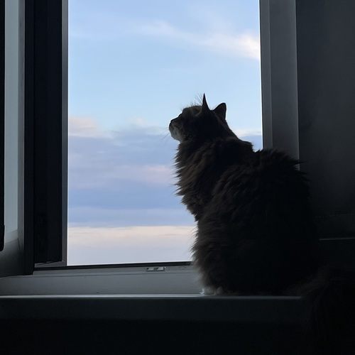 Photo #14058902