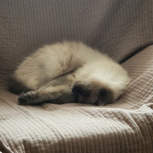 Photo #14058912
