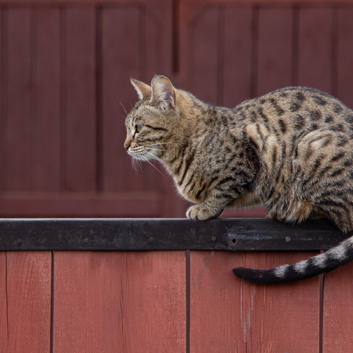Photo #14058922