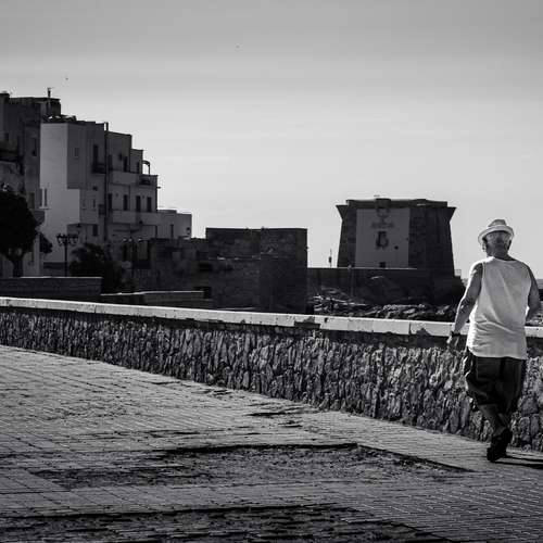 Photo #14058933