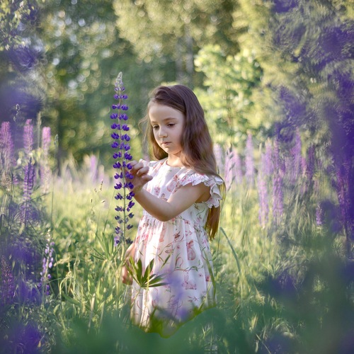 Фотография #14058940