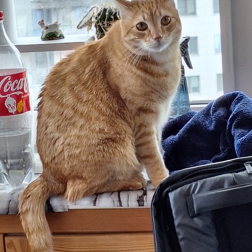 Photo #14058964