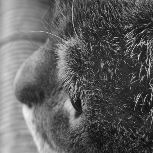 Photo #14059002