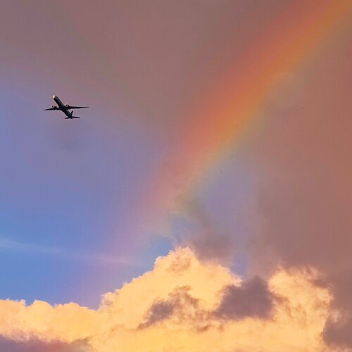 Photo #14059011