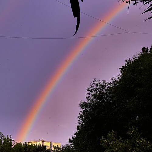 Photo #14059018