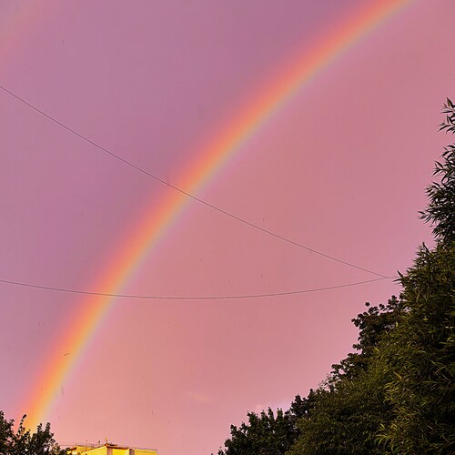 Photo #14059022