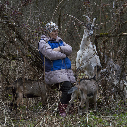 Photo #14059051