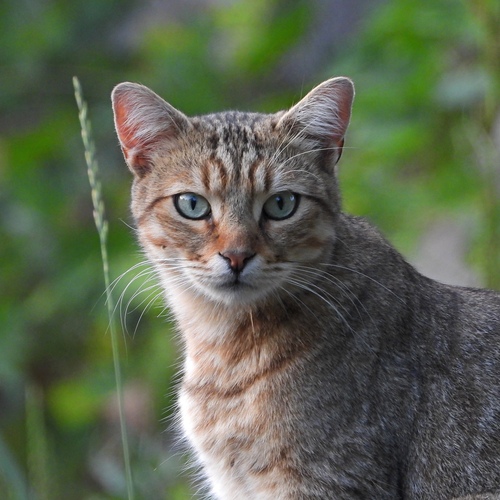 Photo #14059053