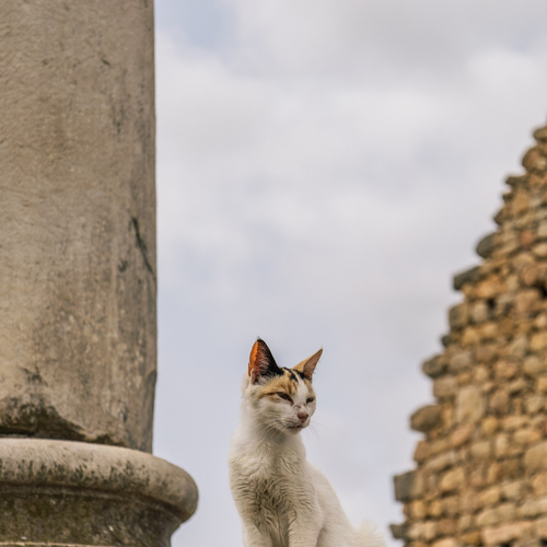 Photo #14059084