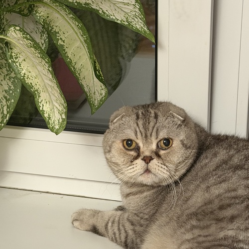 Photo #14059119
