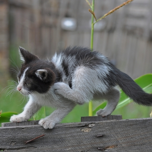 Photo #14059125
