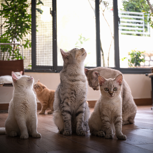 Photo #14059151