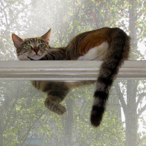 Photo #14059156