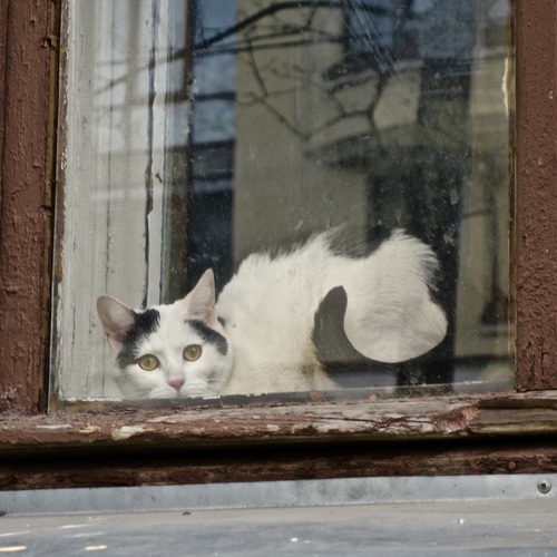 Photo #14059157