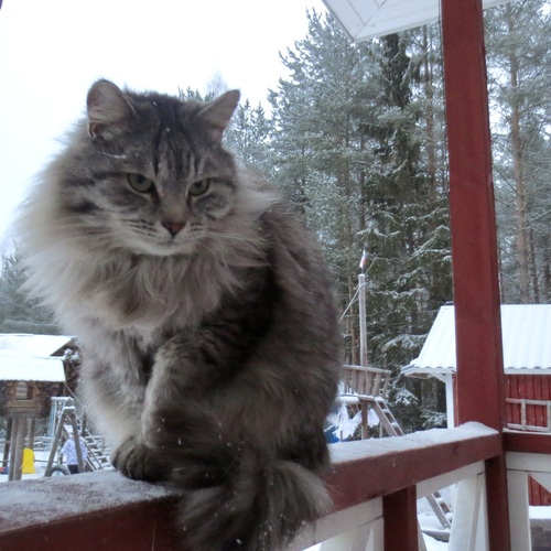 Photo #14059158