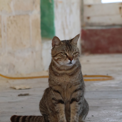 Photo #14059161