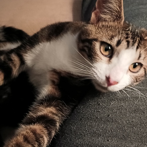 Photo #14059184