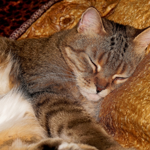 Photo #14059209