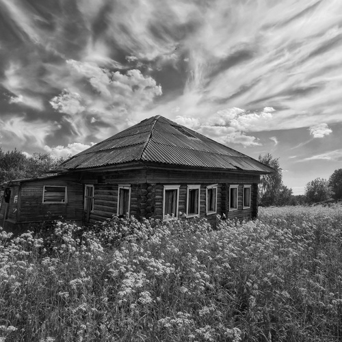 Photo #14059220