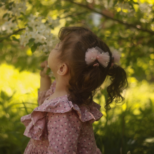 Photo #14059289
