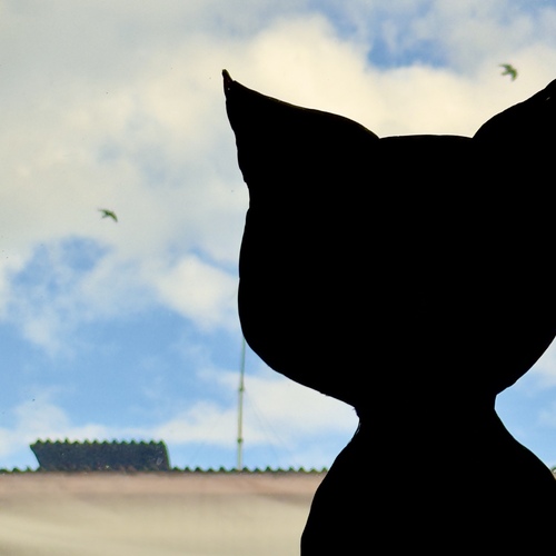 Photo #14059339