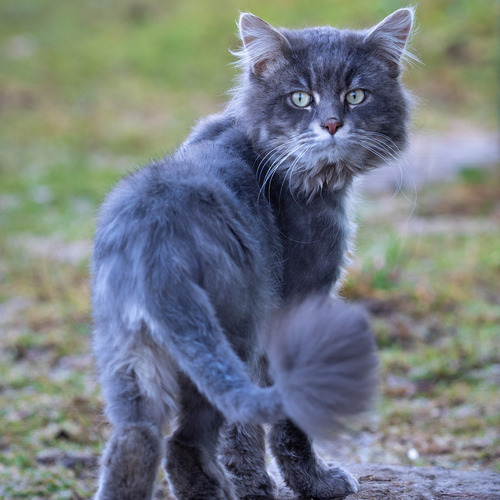 Сергей Зорин