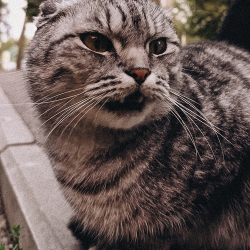 Photo #14059363