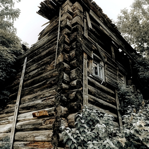 Photo #14059424