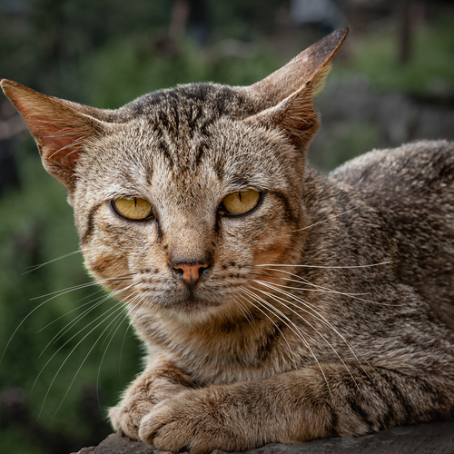 Photo #14059445