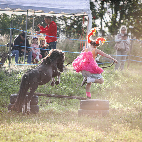 Photo #14059514