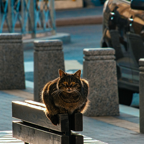 Photo #14059525