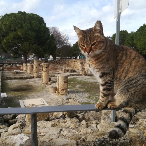 The Keeper of the Archaeological Park