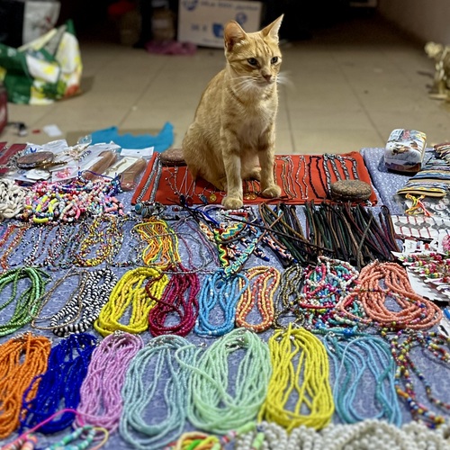 Photo #14059555