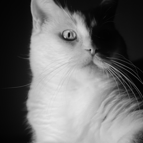 Photo #14059783