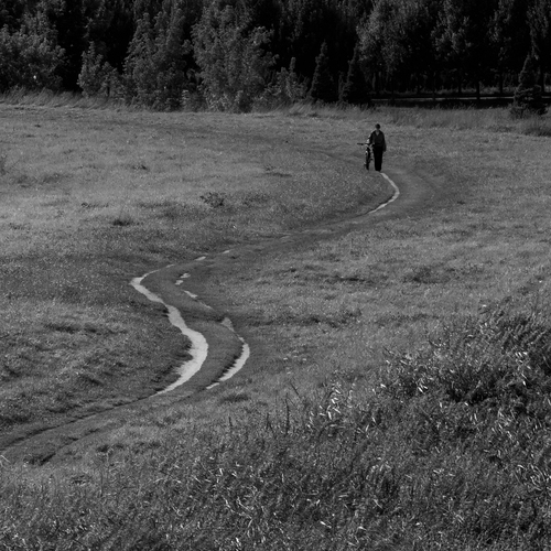 Photo #14059815