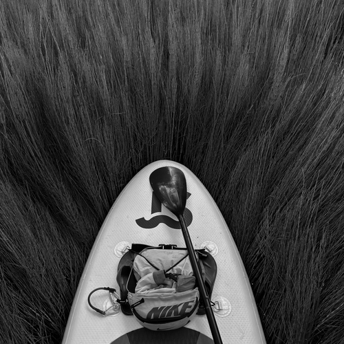 Photo #14059817