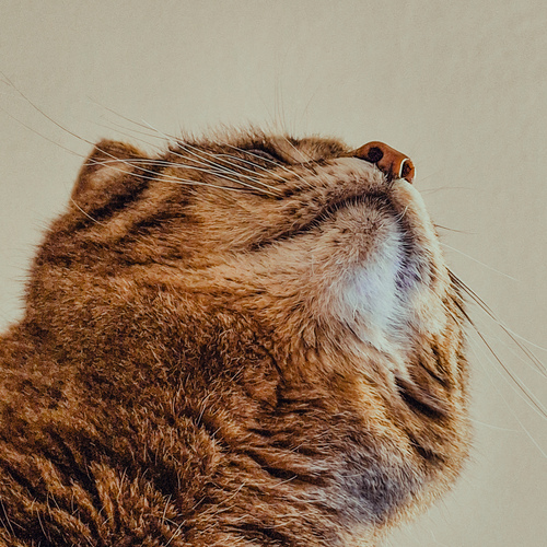 Photo #14059982
