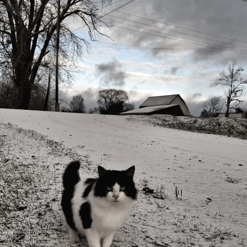 Photo #14059983