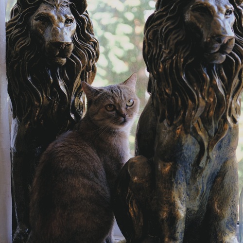 Photo #14060039