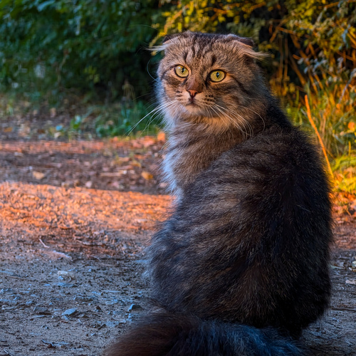Photo #14060098