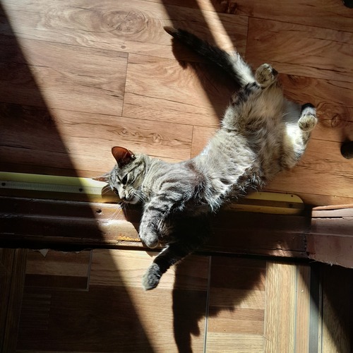 Photo #14060109