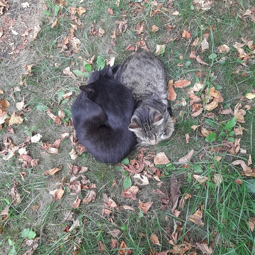 Photo #14060120