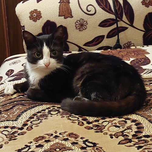 Photo #14060227