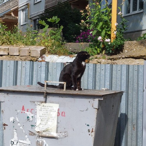 Photo #14060246
