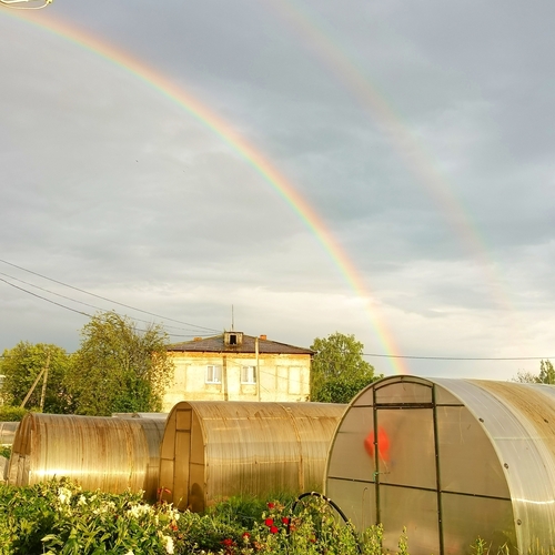 Photo #14060464