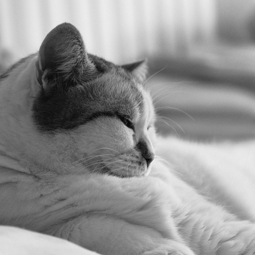Photo #14060526