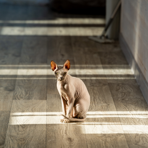 Photo #14060556